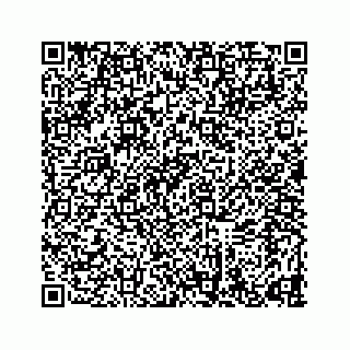 vCard 78634733319