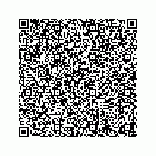 vCard 78634733329