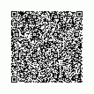 vCard 78634733330