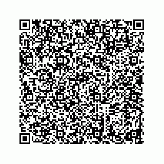 vCard 78634733333