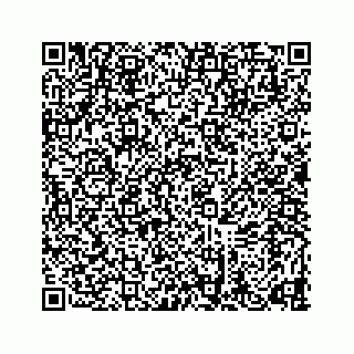 vCard 78634733338