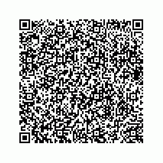 vCard 78634735287