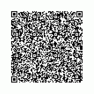 vCard 78634931331