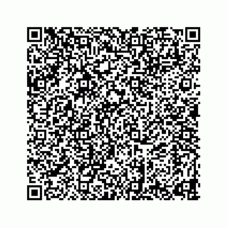 vCard 78634931393