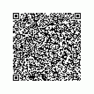 vCard 78635267739