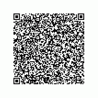 vCard 78635279303
