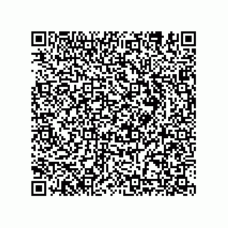 vCard 78635279313