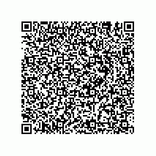 vCard 78635279315
