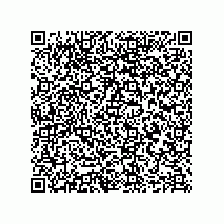 vCard 78635279329