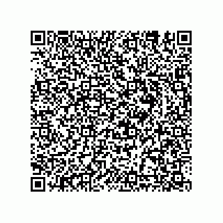 vCard 78635279330