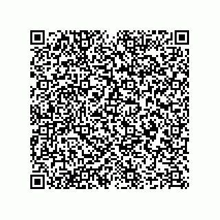 vCard 78635279331