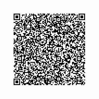 vCard 78635279333