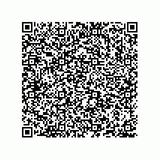 vCard 78635279371
