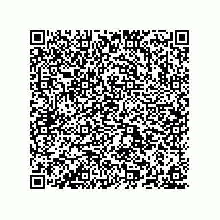 vCard 78635279377