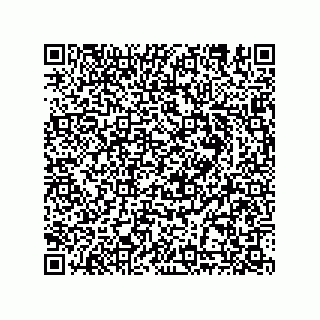 vCard 78635279381