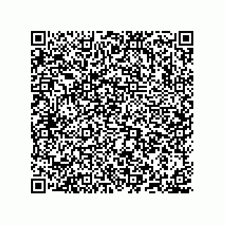 vCard 78635279383