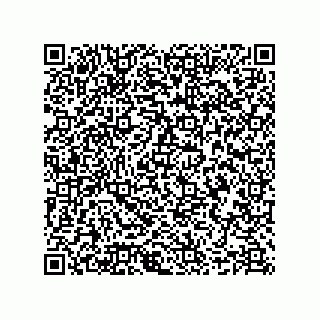 vCard 78635279385
