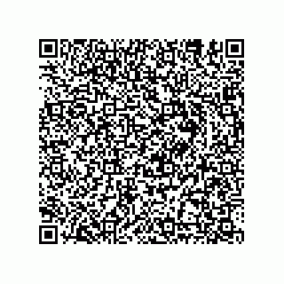 vCard 78635279398