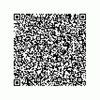 vCard 78635279531