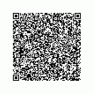vCard 78635279533
