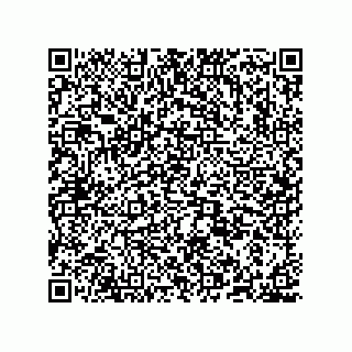 vCard 78635279553