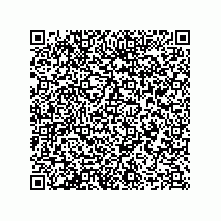 vCard 78635279633