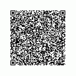 vCard 78635279917