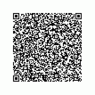 vCard 78635279931