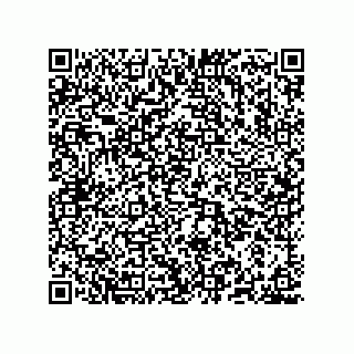 vCard 78635279985