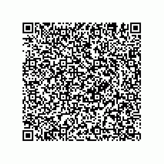 vCard 78635283299