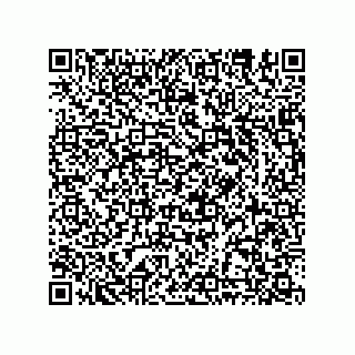 vCard 78635283335