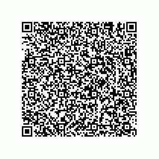 vCard 78635283379