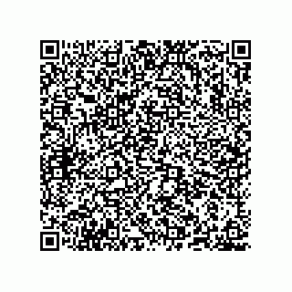 vCard 78635283399