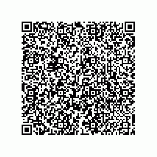 vCard 78635420295