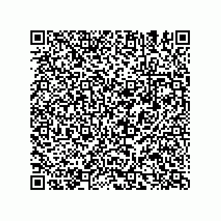 vCard 78635420313