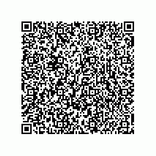 vCard 78635420385