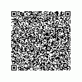 vCard 78635478133