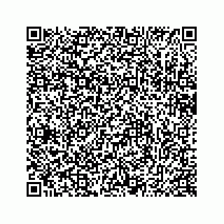 vCard 78635934133