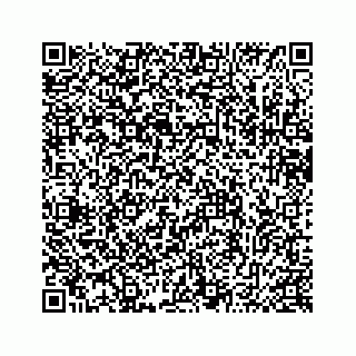 vCard 78635934163