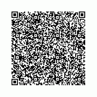 vCard 78635993378
