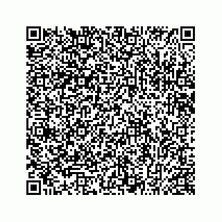 vCard 78635993379