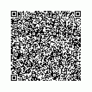 vCard 78635993381