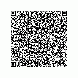 vCard 78636039313