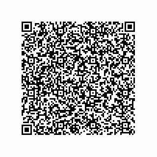 vCard 78636931299