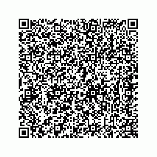 vCard 78637320001