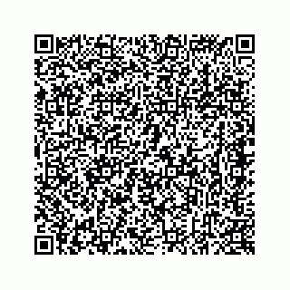 vCard 78637320003