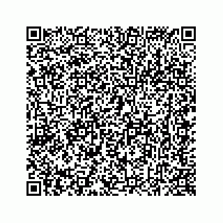 vCard 78637320038