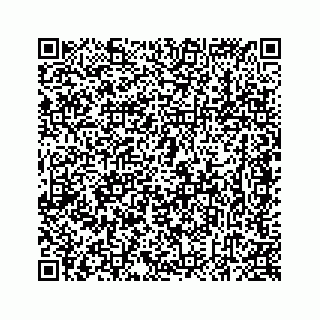 vCard 78637320061