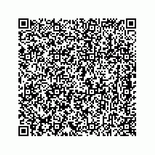 vCard 78637320063