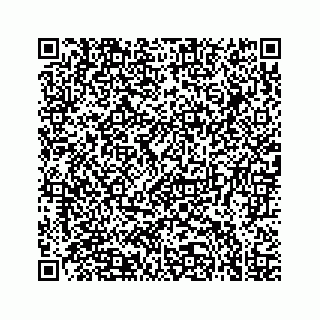 vCard 78637320065